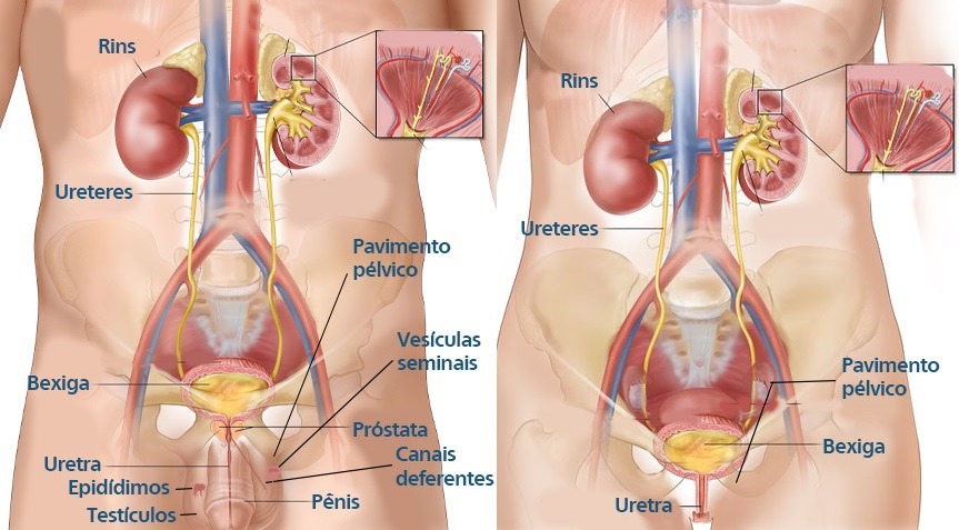 urologia urologista phd cardio lauro de freitas